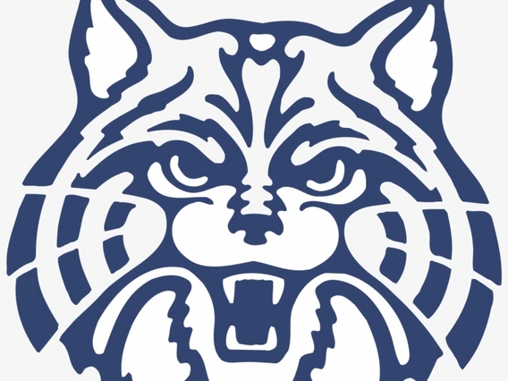 wildcat