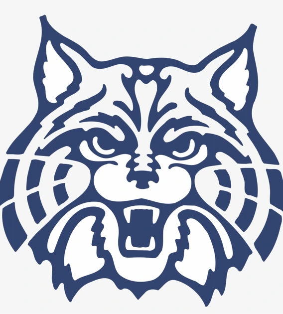 wildcat